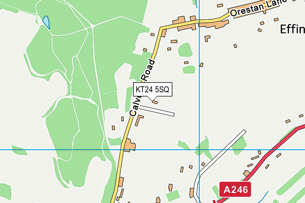 KT24 5SQ map - OS VectorMap District (Ordnance Survey) KT24 5SQ map - OS VectorMap District (Ordnance Survey)