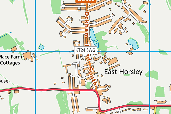 KT24 5WG map - OS VectorMap District (Ordnance Survey)