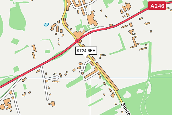 KT24 6EH map - OS VectorMap District (Ordnance Survey) KT24 6EH map - OS VectorMap District (Ordnance Survey)