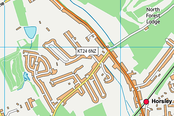 KT24 6NZ map - OS VectorMap District (Ordnance Survey) KT24 6NZ map - OS VectorMap District (Ordnance Survey)