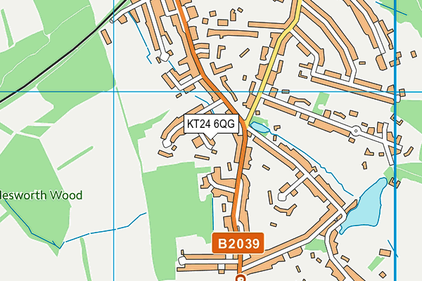 KT24 6QG map - OS VectorMap District (Ordnance Survey) KT24 6QG map - OS VectorMap District (Ordnance Survey)