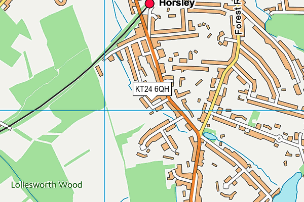 KT24 6QH map - OS VectorMap District (Ordnance Survey) KT24 6QH map - OS VectorMap District (Ordnance Survey)