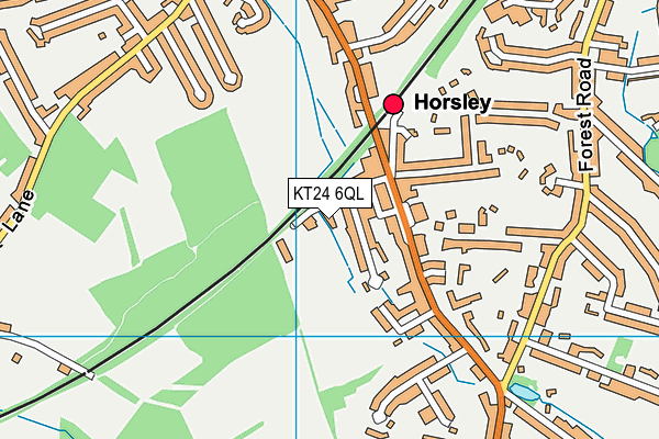 KT24 6QL map - OS VectorMap District (Ordnance Survey) KT24 6QL map - OS VectorMap District (Ordnance Survey)