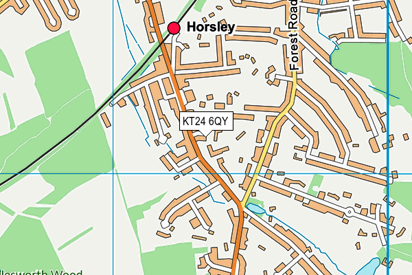 KT24 6QY map - OS VectorMap District (Ordnance Survey) KT24 6QY map - OS VectorMap District (Ordnance Survey)
