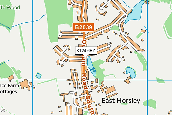 KT24 6RZ map - OS VectorMap District (Ordnance Survey)