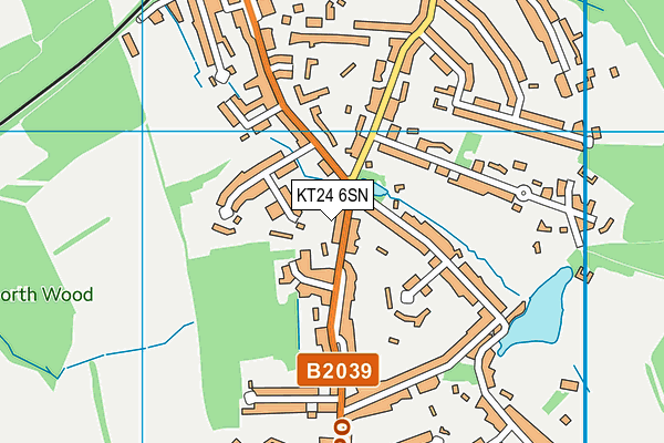KT24 6SN map - OS VectorMap District (Ordnance Survey) KT24 6SN map - OS VectorMap District (Ordnance Survey)