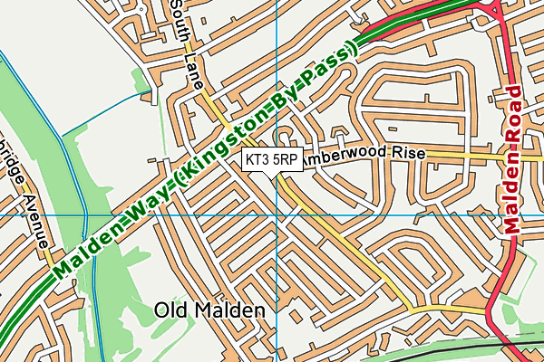 KT3 5RP map - OS VectorMap District (Ordnance Survey) KT3 5RP map - OS VectorMap District (Ordnance Survey)