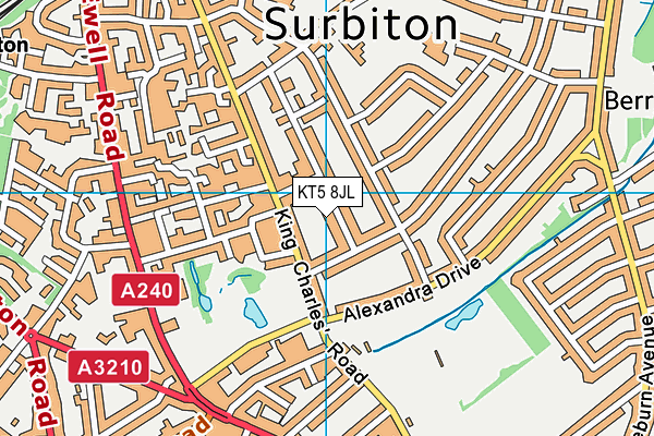 KT5 8JL map - OS VectorMap District (Ordnance Survey)
