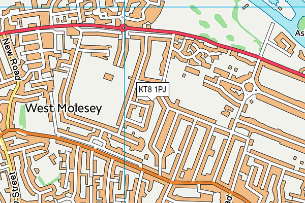 KT8 1PJ map - OS VectorMap District (Ordnance Survey)