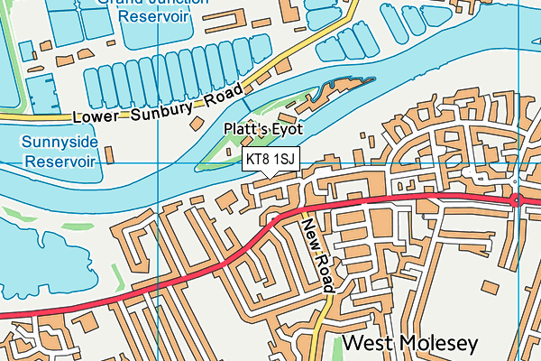 KT8 1SJ map - OS VectorMap District (Ordnance Survey)