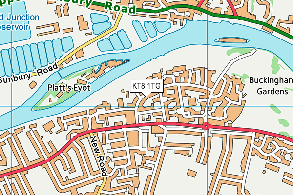 KT8 1TG map - OS VectorMap District (Ordnance Survey) KT8 1TG map - OS VectorMap District (Ordnance Survey)