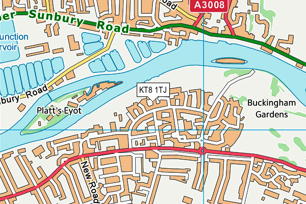 KT8 1TJ map - OS VectorMap District (Ordnance Survey) KT8 1TJ map - OS VectorMap District (Ordnance Survey)