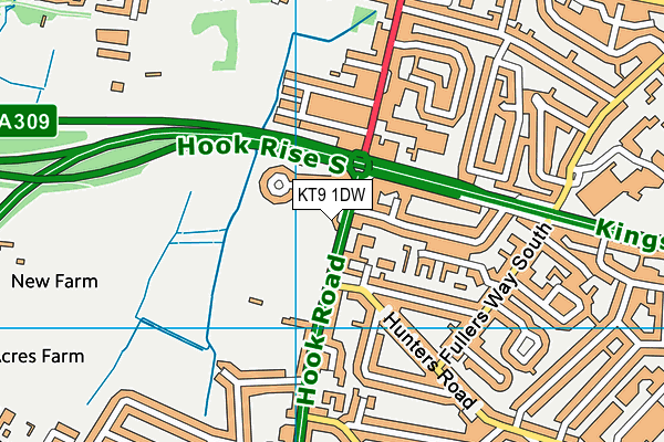 KT9 1DW map - OS VectorMap District (Ordnance Survey) KT9 1DW map - OS VectorMap District (Ordnance Survey)