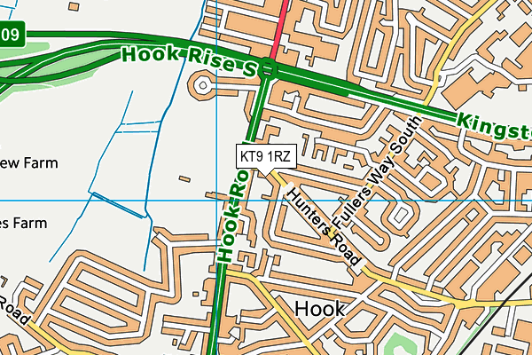KT9 1RZ map - OS VectorMap District (Ordnance Survey) KT9 1RZ map - OS VectorMap District (Ordnance Survey)