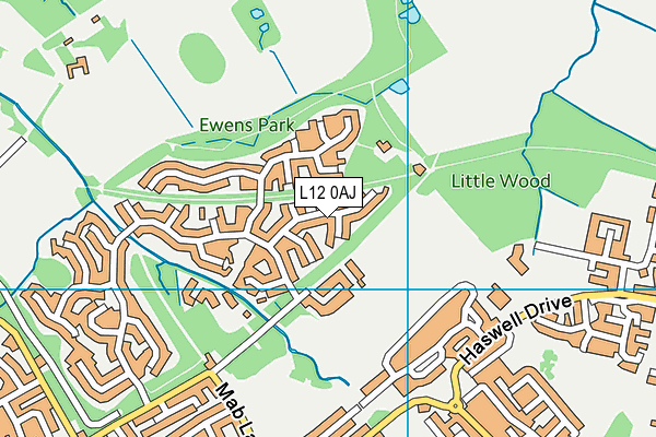 L12 0AJ map - OS VectorMap District (Ordnance Survey) L12 0AJ map - OS VectorMap District (Ordnance Survey)