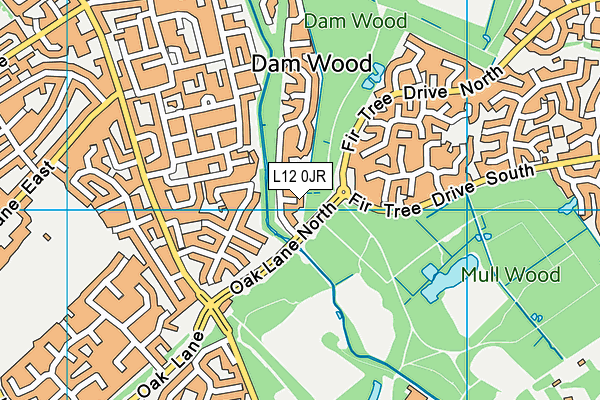 L12 0JR map - OS VectorMap District (Ordnance Survey) L12 0JR map - OS VectorMap District (Ordnance Survey)
