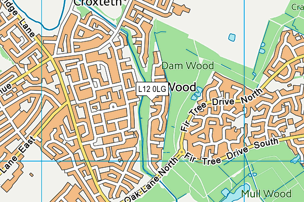 L12 0LG map - OS VectorMap District (Ordnance Survey) L12 0LG map - OS VectorMap District (Ordnance Survey)