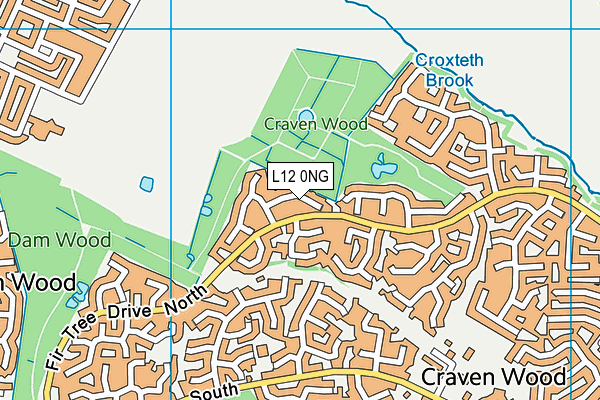 L12 0NG map - OS VectorMap District (Ordnance Survey) L12 0NG map - OS VectorMap District (Ordnance Survey)