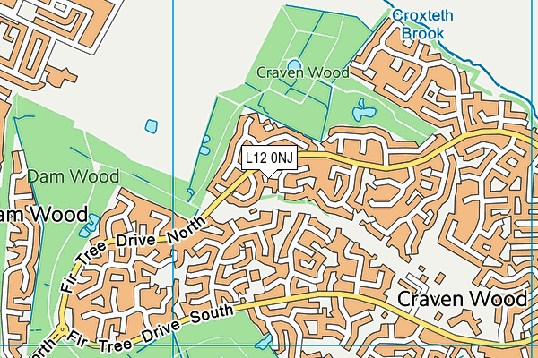 L12 0NJ map - OS VectorMap District (Ordnance Survey) L12 0NJ map - OS VectorMap District (Ordnance Survey)