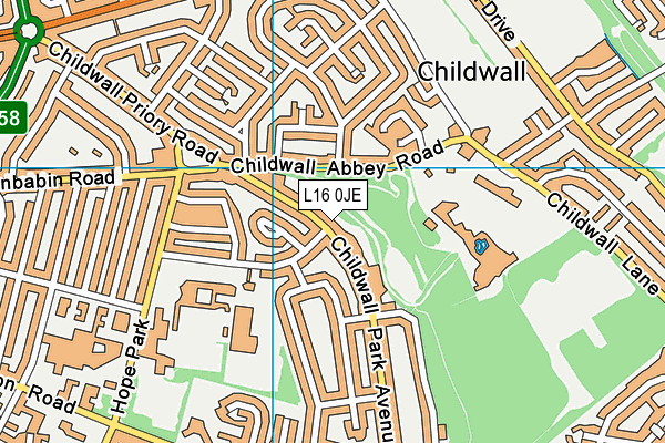 L16 0JE map - OS VectorMap District (Ordnance Survey) L16 0JE map - OS VectorMap District (Ordnance Survey)