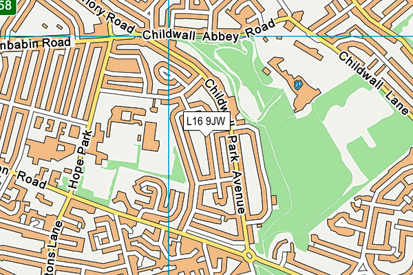 L16 9JW map - OS VectorMap District (Ordnance Survey) L16 9JW map - OS VectorMap District (Ordnance Survey)