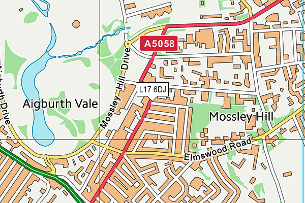 L17 6DJ map - OS VectorMap District (Ordnance Survey)
