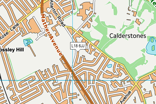L18 6JJ map - OS VectorMap District (Ordnance Survey)