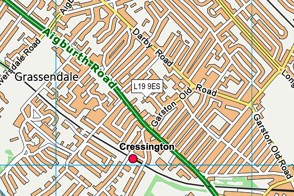 L19 9ES map - OS VectorMap District (Ordnance Survey) L19 9ES map - OS VectorMap District (Ordnance Survey)