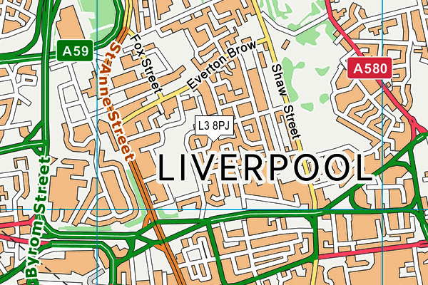 L3 8PJ map - OS VectorMap District (Ordnance Survey) L3 8PJ map - OS VectorMap District (Ordnance Survey)