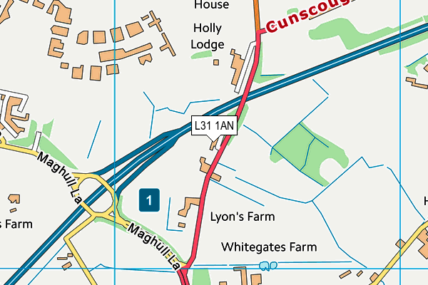 L31 1AN map - OS VectorMap District (Ordnance Survey) L31 1AN map - OS VectorMap District (Ordnance Survey)