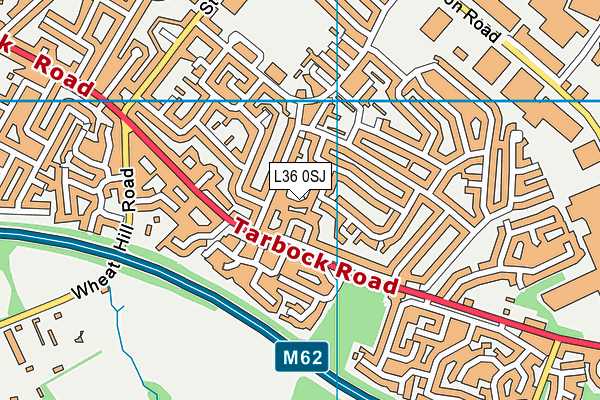 L36 0SJ map - OS VectorMap District (Ordnance Survey) L36 0SJ map - OS VectorMap District (Ordnance Survey)