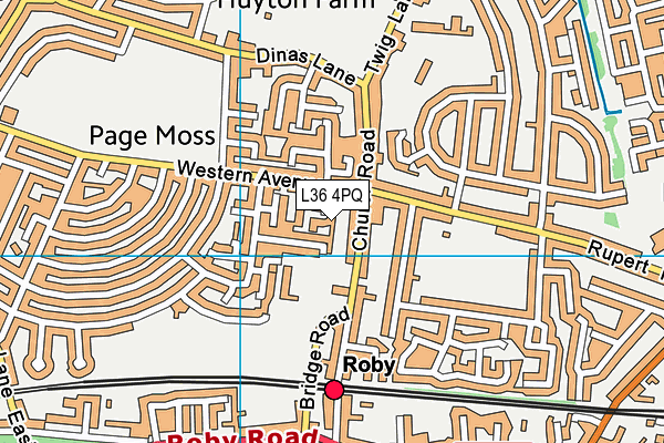 L36 4PQ map - OS VectorMap District (Ordnance Survey) L36 4PQ map - OS VectorMap District (Ordnance Survey)
