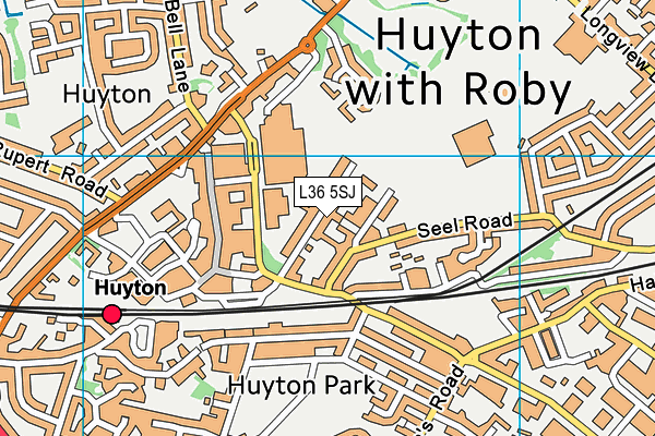 L36 5SJ map - OS VectorMap District (Ordnance Survey)