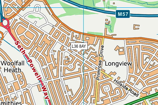 L36 8AY map - OS VectorMap District (Ordnance Survey) L36 8AY map - OS VectorMap District (Ordnance Survey)