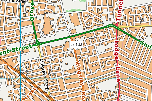 L8 1UJ map - OS VectorMap District (Ordnance Survey) L8 1UJ map - OS VectorMap District (Ordnance Survey)