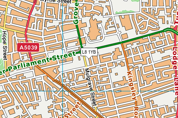 L8 1YB map - OS VectorMap District (Ordnance Survey) L8 1YB map - OS VectorMap District (Ordnance Survey)