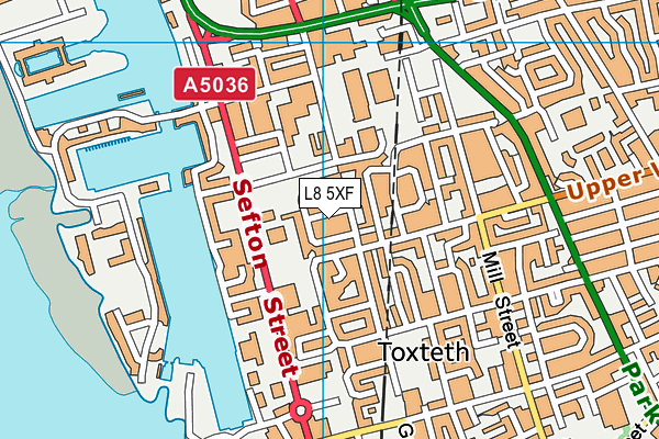 L8 5XF map - OS VectorMap District (Ordnance Survey) L8 5XF map - OS VectorMap District (Ordnance Survey)