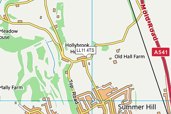 LL11 4TS map - OS VectorMap District (Ordnance Survey) LL11 4TS map - OS VectorMap District (Ordnance Survey)