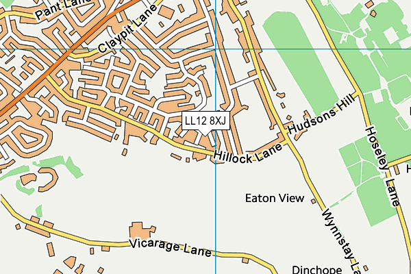 LL12 8XJ map - OS VectorMap District (Ordnance Survey) LL12 8XJ map - OS VectorMap District (Ordnance Survey)