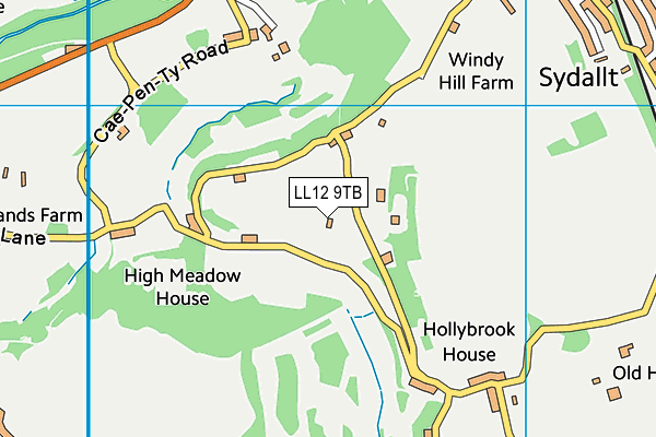 LL12 9TB map - OS VectorMap District (Ordnance Survey) LL12 9TB map - OS VectorMap District (Ordnance Survey)