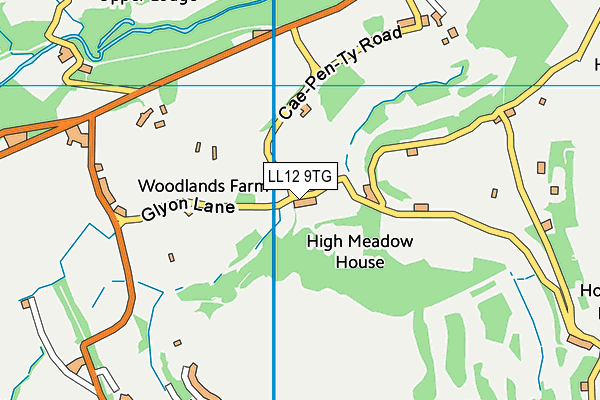 LL12 9TG map - OS VectorMap District (Ordnance Survey) LL12 9TG map - OS VectorMap District (Ordnance Survey)