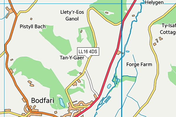 LL16 4DS map - OS VectorMap District (Ordnance Survey) LL16 4DS map - OS VectorMap District (Ordnance Survey)