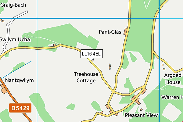LL16 4EL map - OS VectorMap District (Ordnance Survey) LL16 4EL map - OS VectorMap District (Ordnance Survey)