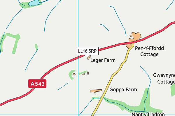 LL16 5RP map - OS VectorMap District (Ordnance Survey) LL16 5RP map - OS VectorMap District (Ordnance Survey)