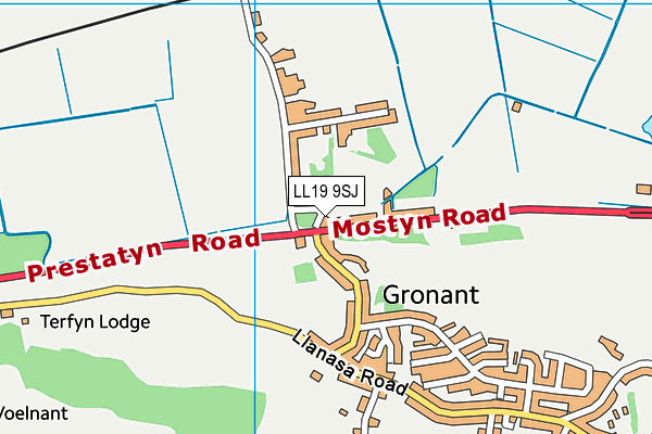 LL19 9SJ map - OS VectorMap District (Ordnance Survey) LL19 9SJ map - OS VectorMap District (Ordnance Survey)