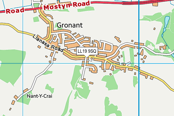 LL19 9SQ map - OS VectorMap District (Ordnance Survey) LL19 9SQ map - OS VectorMap District (Ordnance Survey)