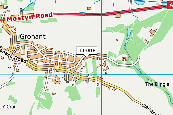 LL19 9TE map - OS VectorMap District (Ordnance Survey) LL19 9TE map - OS VectorMap District (Ordnance Survey)