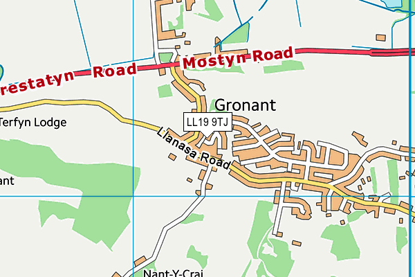 LL19 9TJ map - OS VectorMap District (Ordnance Survey) LL19 9TJ map - OS VectorMap District (Ordnance Survey)