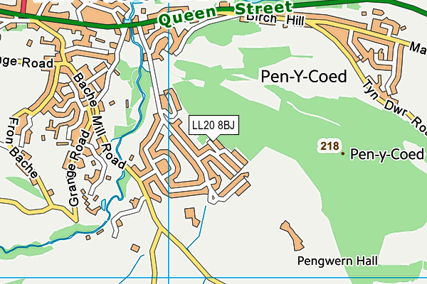 LL20 8BJ map - OS VectorMap District (Ordnance Survey) LL20 8BJ map - OS VectorMap District (Ordnance Survey)