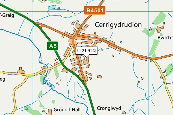 LL21 9TQ map - OS VectorMap District (Ordnance Survey) LL21 9TQ map - OS VectorMap District (Ordnance Survey)